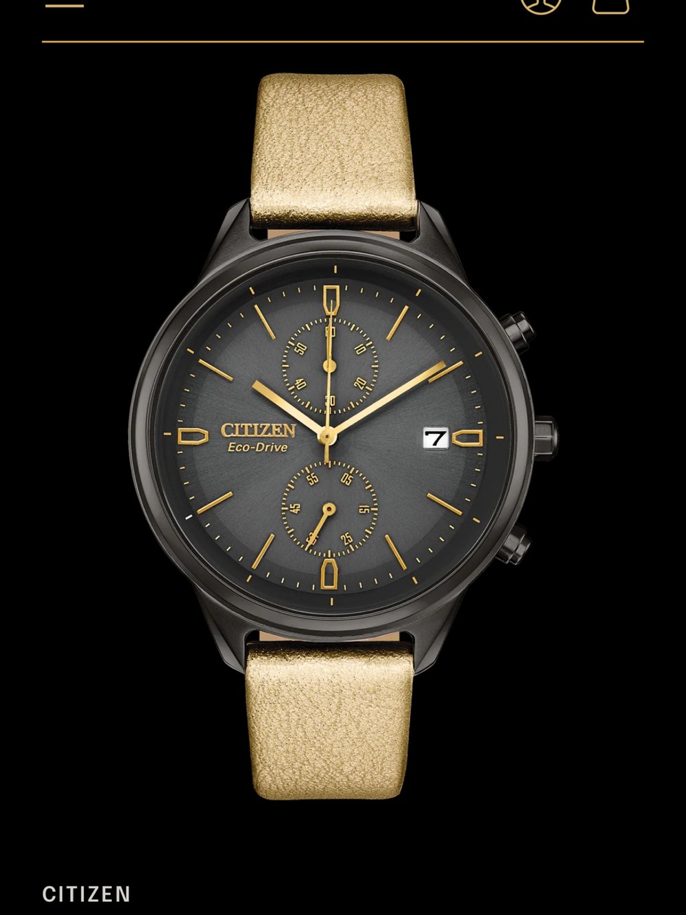 Citizen Eco-Drive Chronograph in Gold and Gray